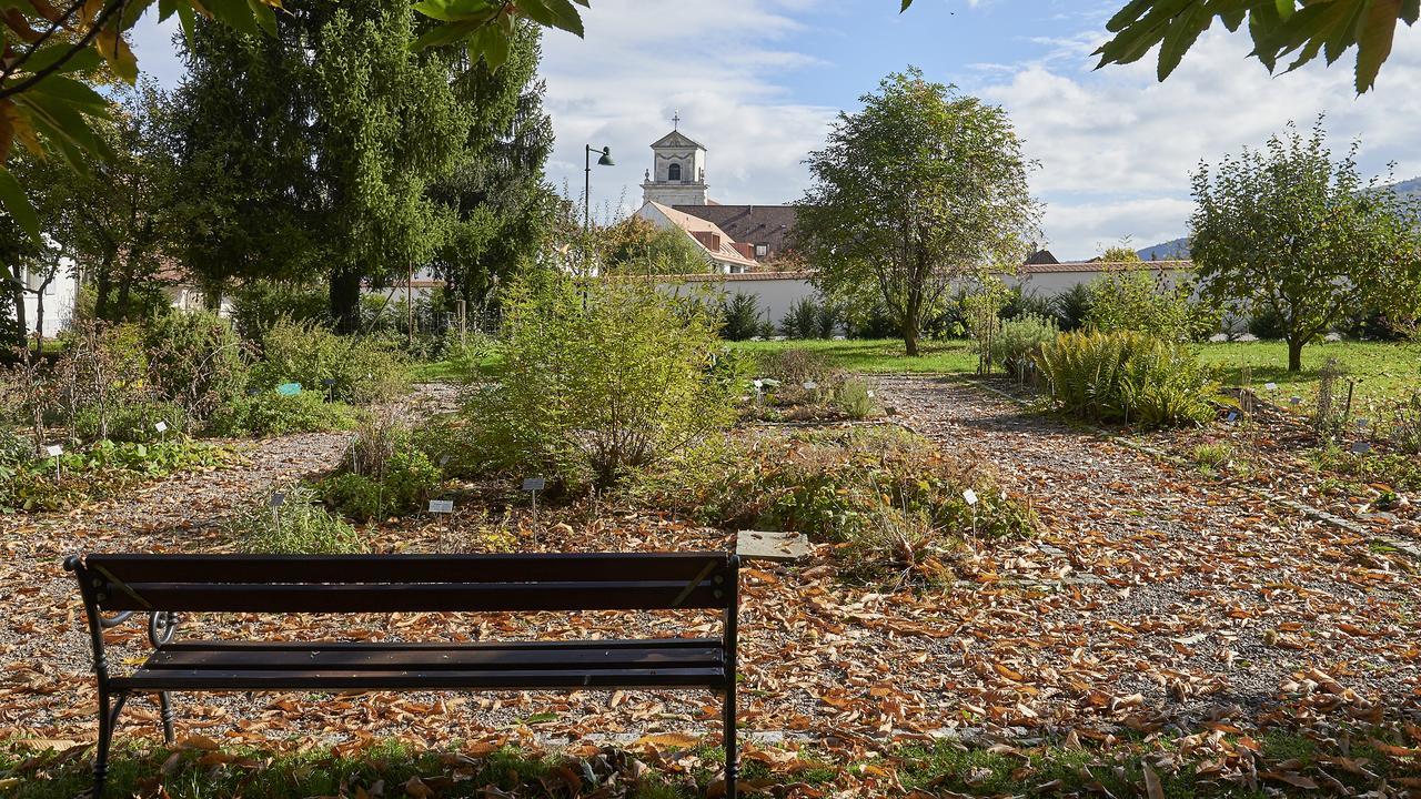 Klosterhotel Kreuz Mariastein Eksteriør billede